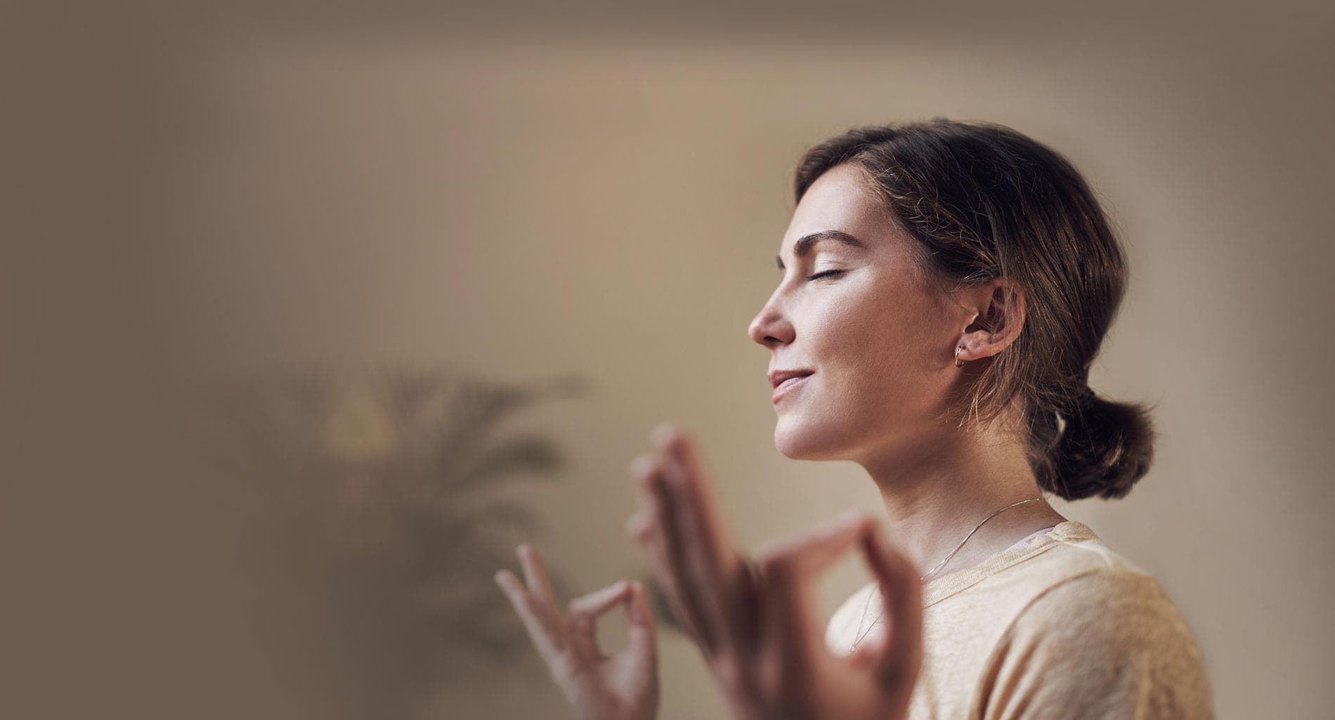 Blue Ocean Mental Health Located In Los Angeles, Ca