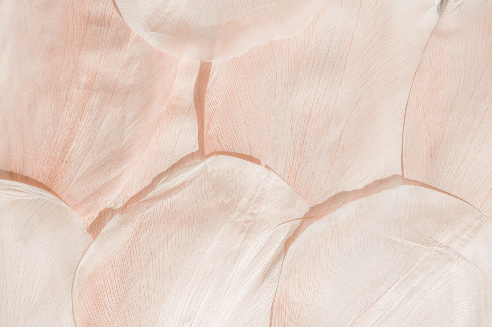 Nature abstract of flower petals, leaves with natural texture as natural background or backdrop.